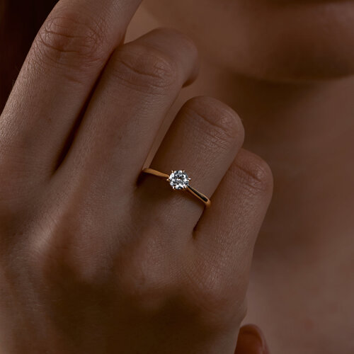 E8B348BC46A278D5072480B4B203